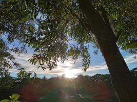 paesaggio naturale foto