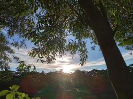 paesaggio naturale foto