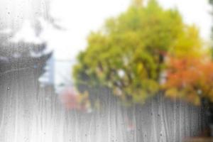 goccia di pioggia su smerigliato bicchiere finestra con capelvenere albero sfondo. foto