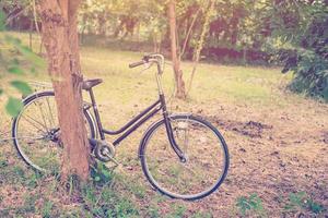 bicicletta Vintage ▾ nel giardino con luce del sole foto