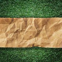 Marrone riciclato carta strappato su erba con spazio per testo