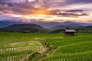 verde terrazzato riso campo nel papà pong pieng , mae cham, chiang mai, Tailandia foto