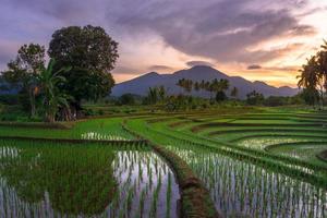 bellissimo mattina Visualizza Indonesia panorama paesaggio risaia i campi con bellezza colore e cielo naturale leggero foto