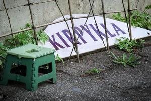 vecchio parrucchiere salone cartello con scrittura nel lituano linguaggio kirpykla parrucchiere con piccolo verde sedia in piedi vicino sinistra al di fuori nel il cortile foto