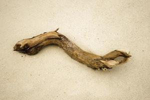 bastone di legno galleggiante nella sabbia foto