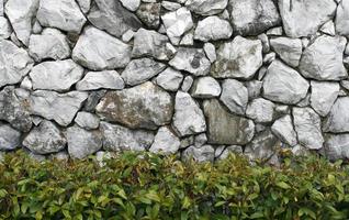 vecchio muro di roccia con siepe foto