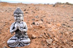 piccolo Budda statua su il terra foto