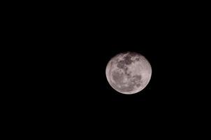 Luna su il notte cielo foto