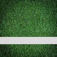 bianca banda su il verde calcio campo a partire dal superiore Visualizza foto