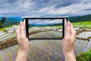 mano assunzione immagine con mobile a verde terrazzato riso campo nel Chiang Mai, Tailandia foto