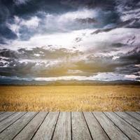 tempesta nuvole e giallo campo prima piovoso foto