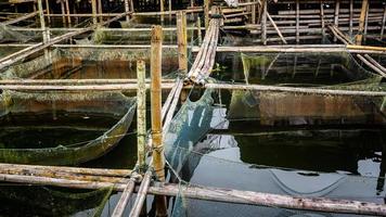 tradizionale pesce azienda agricola nel tondano lago fatto di bambù foto