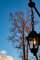 strada lampada e nudo rami di un' albero contro blu cielo foto