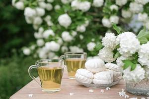 estate picnic con tè e marshmallows nel il estate giardino. tè potabile nel il giardino foto