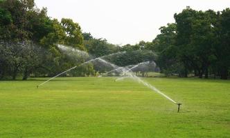 irrigatori d'acqua che innaffiano l'erba