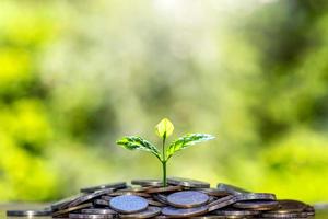 le piantine che crescono su una pila di monete includono uno sfondo sfocato di natura verde, l'idea di risparmiare denaro e crescita economica