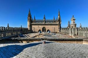 Cattedrale di st. Maria di il vedere di siviglia, anche conosciuto come il cattedra di siviglia nel Spagna. foto