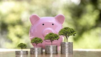 piantare un albero sulla moneta è un concetto finanziario, investire e aumentare i risparmi per il futuro