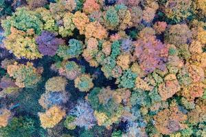 superiore giù aereo Visualizza di colorato alberi nel autunno nel Vermont. foto