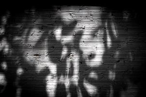mattone parete bianca buio ombra albero per sfondo, astratto sfondo mattone parete struttura foto