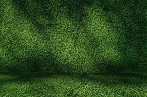 prospettiva erba verde parete e pavimento interno sfondo foto