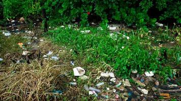 eichhornia crassipes o Comune acqua giacinto e molti spazzatura su superficie di acqua di choa praya fiume a bangkok, Tailandia foto