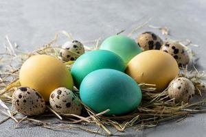 stilizzato uccelli nido con Quaglia e dipinto pollo uova. foto
