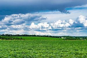 bellissimo orizzonte scenario nel villaggio prato su colore naturale sfondo foto