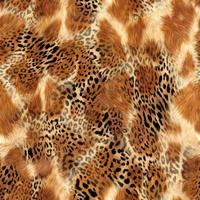 senza soluzione di continuità leopardo modello, leopardo struttura, animale pelle. foto