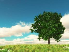 Paesaggio di campagna 3D con albero contro il cielo blu foto