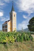 Chiesa nel vigneto di badacson a balaton ,Ungheria foto