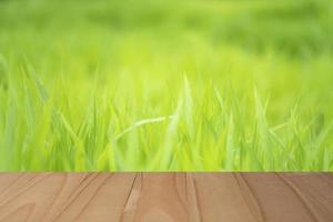 piano del tavolo in legno con sfondo sfocato di erba per la visualizzazione