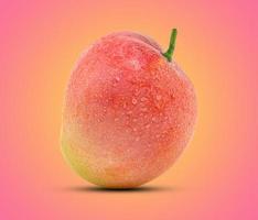 mango su sfondo rosa foto