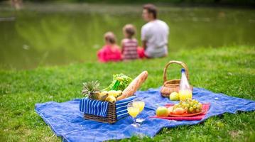 famiglia picnic Visualizza foto