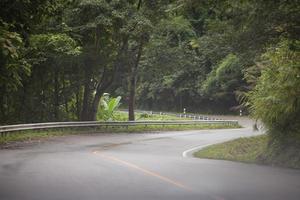 strada tortuosa e alberi verdi foto