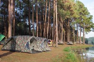 tende da campeggio con alberi durante il giorno