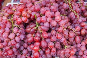 grappolo d'uva rossa foto