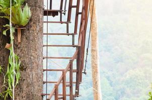 di legno le scale nel il verde foresta parco per su per punto di vista foto