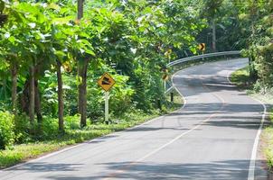 campagna strada con alberi su tutti e due lati, curva di il strada e traffico segni foto