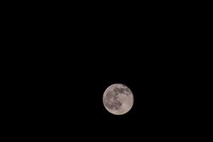 luna nel cielo notturno foto