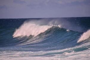 onde nel il oceano foto