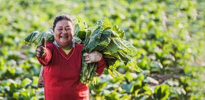 femmina contadino Lavorando agricoltura nel tabacco i campi foto