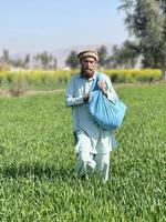 Pakistan contadino diffusione fertilizzante nel il agricoltura campo foto