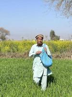 Pakistan contadino diffusione fertilizzante nel il agricoltura campo foto