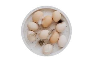 3013 uova su un' piatto isolato su un' trasparente sfondo foto