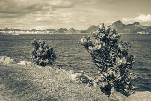 panorama panorama niteroi dietro gli alberi flamengo rio de janeiro brasile. foto