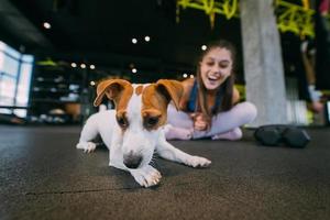 carino Jack russell cane nel Palestra con sua proprietario donna. foto