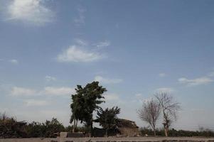 paesaggio mostrando agricolo i campi nel Egitto foto