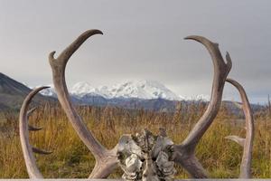 denali parco montare mc kinley panorama foto