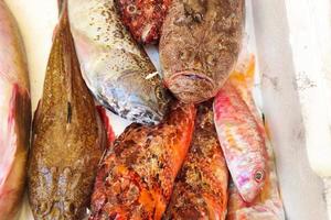 crudo pesce per la minestra a il mercato frutti di mare foto